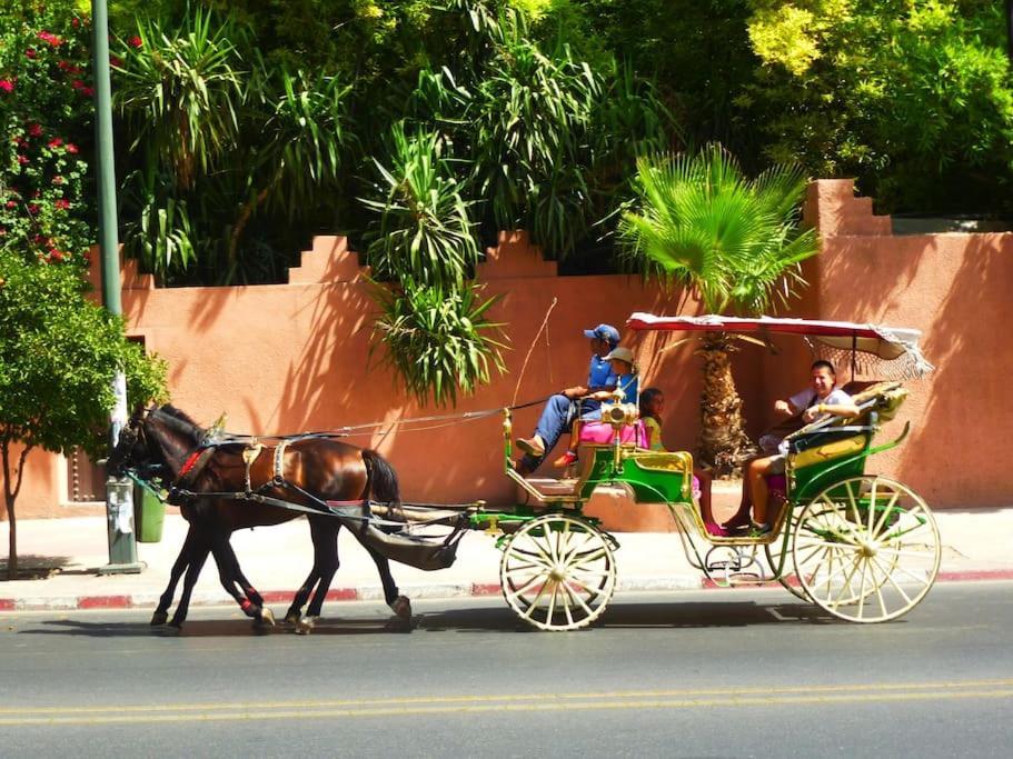 Luxury Refuge - Marrakech Centre Lägenhet Marrakesh Exteriör bild